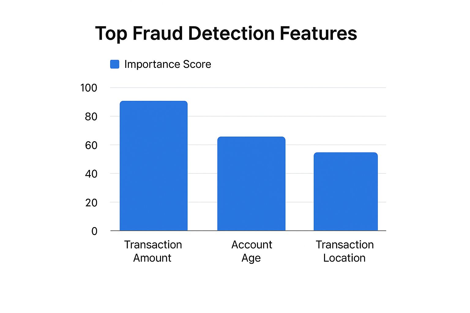 Bar chart ranking transaction amount, account age, and location as top fraud detection features
